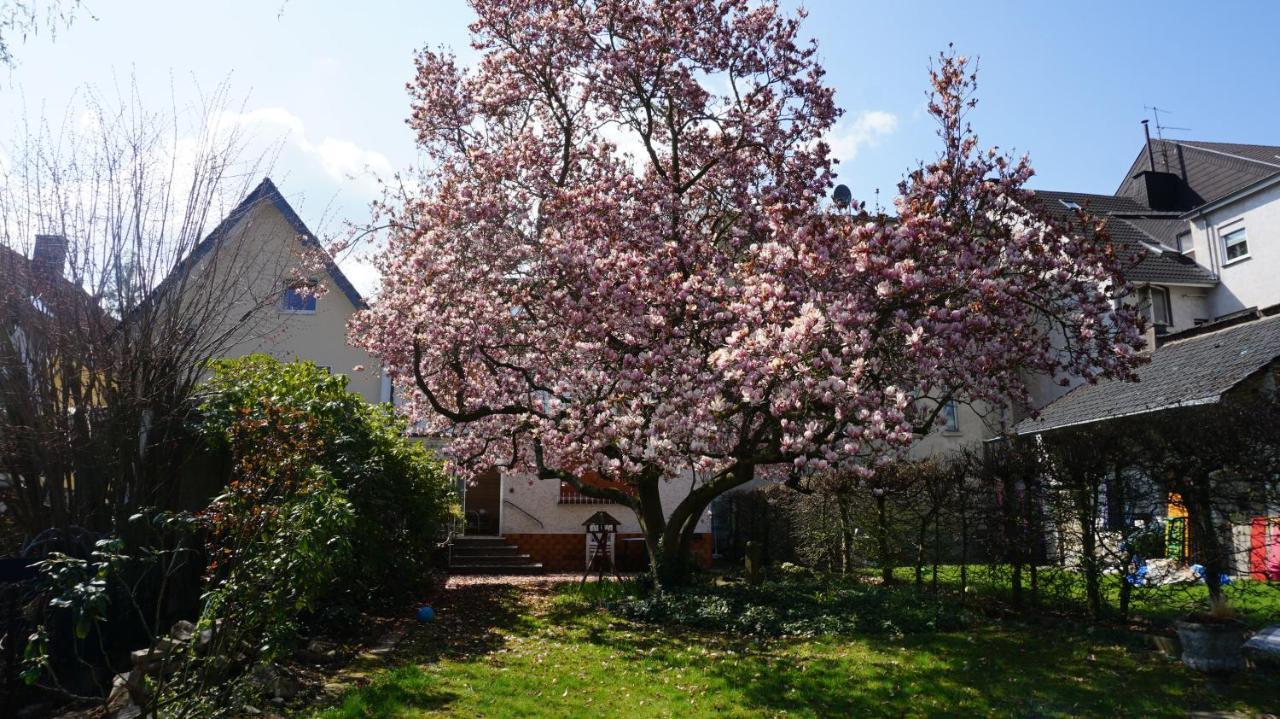 Villa Ferienhaus Magnoliahr à Bad Neuenahr-Ahrweiler Extérieur photo